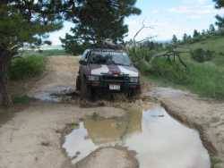 Nissan Pathfinder - nissan