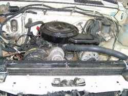 Nissan Hardbody - Dustin