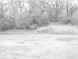 Nissan Pathfinder - LeftHandedMonkeyWrench