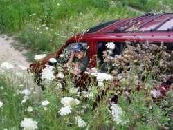 Nissan Pathfinder - LeftHandedMonkeyWrench (k