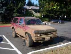 Nissan Pathfinder - Shiles