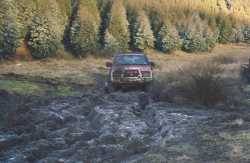 Nissan Pathfinder - BennyC