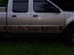 Nissan Frontier - wayne ackerman