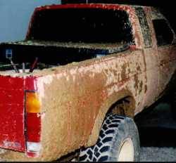 Nissan Hardbody - hardbody (tony)