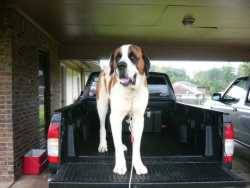 Nissan Frontier - jason.orchard