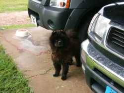 Nissan Frontier - jason.orchard