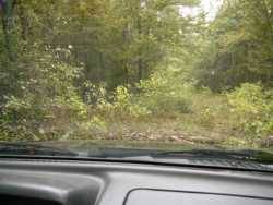 Nissan Frontier - jason.orchard