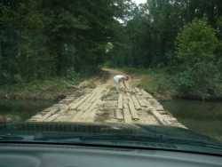 Nissan Frontier - jason.orchard