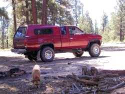 Nissan Hardbody - A Felix