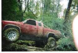 Nissan Hardbody - Brent