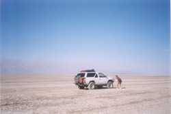 Nissan Pathfinder - dave