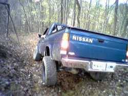 Nissan Hardbody - Ryan