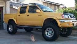 Nissan Frontier - Tim Dwyer