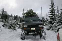 Nissan Pathfinder - Taylor