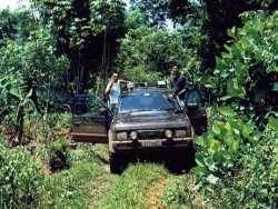 Nissan Pathfinder - Temmy, INA