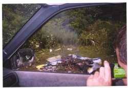 Nissan  - ibstillaweiner