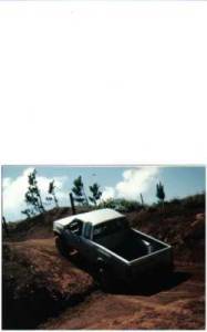 Nissan Hardbody - mike kamakea