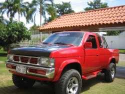 Nissan Hardbody - waldo