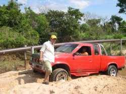 Nissan Hardbody - Waldo