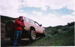 Nissan Pathfinder - stallion