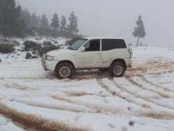 Nissan Patrol - DANI G.C.