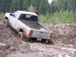 Nissan Hardbody - matt vanouse