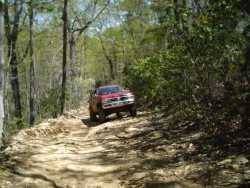 Nissan Pathfinder - Big Mike