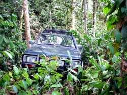 Nissan Pathfinder - Jim