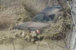 Nissan Xterra - Nigel Carpenter