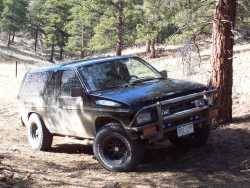 Nissan Pathfinder - Cody