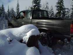 Nissan Hardbody - jeff