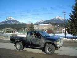 Nissan Hardbody - jeff w.