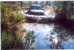 Nissan Pathfinder - Droobie