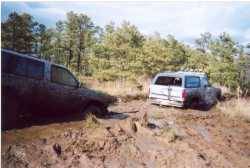 Nissan Pathfinder - Droobie