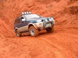 Nissan  - Shark1e Nissan 4x4 owners
