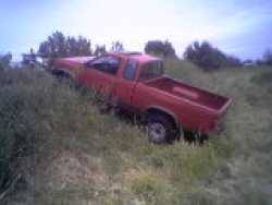 Nissan Hardbody - Branden