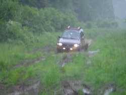 Nissan Pathfinder - D-Love