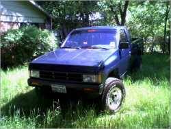 Nissan Hardbody - mogg