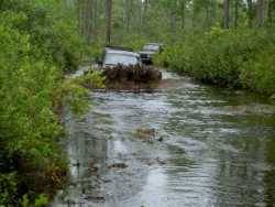 Nissan Pathfinder - Pathy91