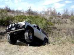 Nissan Pathfinder - Luis Rivera