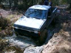 Nissan Hardbody - Mark Jobin