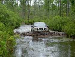 Nissan Frontier - irishsaint76