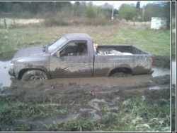 Nissan Hardbody - TSL Thornbirds