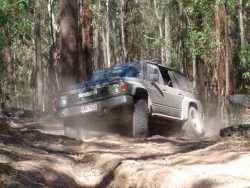 Nissan Patrol - KIWI