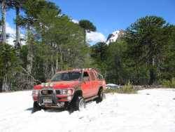 Nissan Hardbody - JORGE ZAPATA MACHMAR
