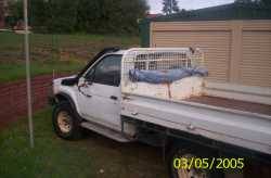 Nissan Hardbody - bruce kovacs