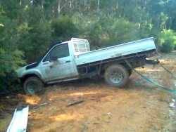 Nissan Hardbody - bruce kovacs