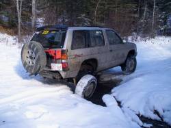 Nissan Pathfinder - Steve