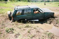 Nissan Pathfinder - Fatty