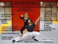 Nissan  - Nikolas Maricic - Wolf